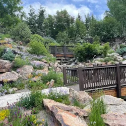 Betty Ford Alpine Gardens - Vail
