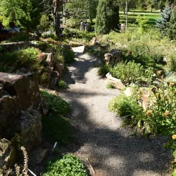 Betty Ford Alpine Gardens - Vail