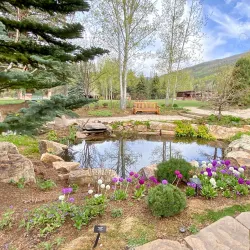 Betty Ford Alpine Gardens - Vail