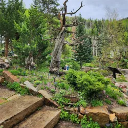 Betty Ford Alpine Gardens - Vail