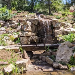 Betty Ford Alpine Gardens - Vail