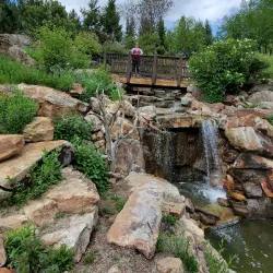 Betty Ford Alpine Gardens - Vail