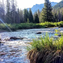 Gore Creek Trail - Vail