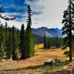 Gore Creek Trail - Vail