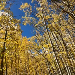 Gore Creek Trail - Vail
