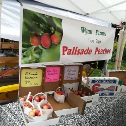 Vail Farmers' Market & Art Show - Vail