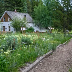 Vail Nature Center - Vail