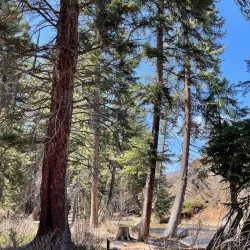 Vail Nature Center - Vail