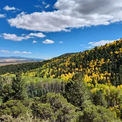 Grape Creek Trail - Westcliffe