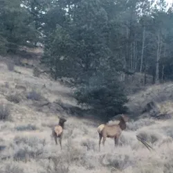 Hardscrabble Pass - Westcliffe