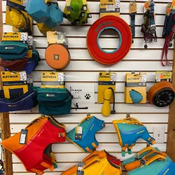 Farmington River Canoe & Kayak - Avon