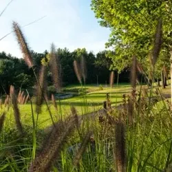 Farmington Woods Golf Club - Avon