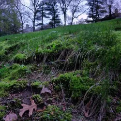 Farmington Woods Golf Club - Avon