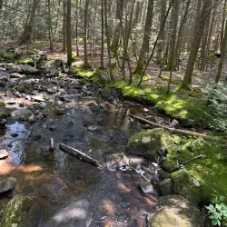 Roaring Brook Nature Center - Avon