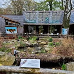 Roaring Brook Nature Center - Avon