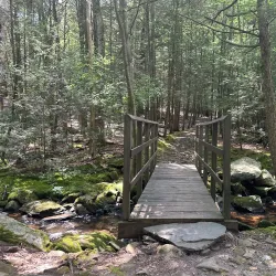 Roaring Brook Nature Center - Avon