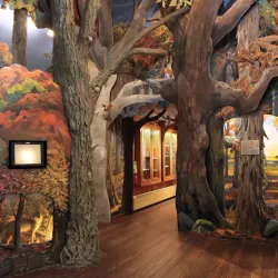 Roaring Brook Nature Center - Avon