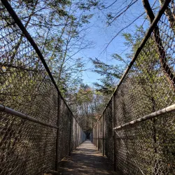 Roaring Brook Nature Center - Avon