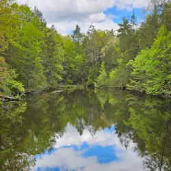 Roaring Brook Nature Center - Avon