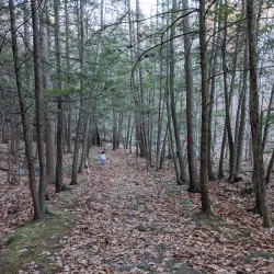 Roaring Brook Nature Center - Avon