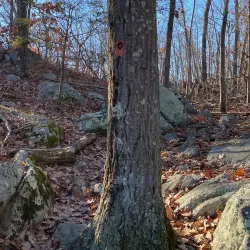 Bear Mountain Reservation - Danbury