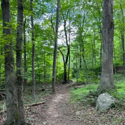 Bear Mountain Reservation - Danbury