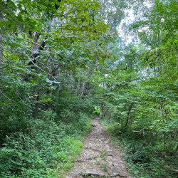 Bear Mountain Reservation - Danbury