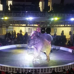 Danbury Ice Arena - Danbury