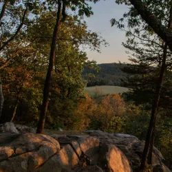 Tarrywile Park and Mansion - Danbury