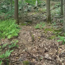 Wooster Mountain State Park - Danbury