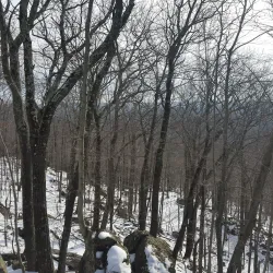 Wooster Mountain State Park - Danbury