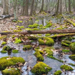 Wooster Mountain State Park - Danbury