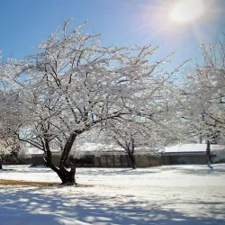 Enfield Public Library - Enfield