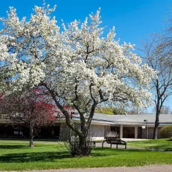 Enfield Public Library - Enfield