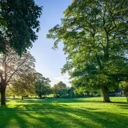 Enfield Town Park - Enfield