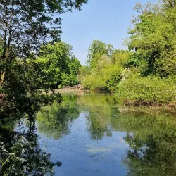 Enfield Town Park - Enfield