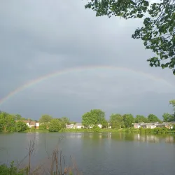 Freshwater Pond - Enfield