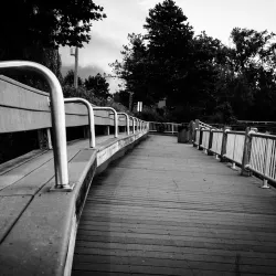 Freshwater Pond - Enfield