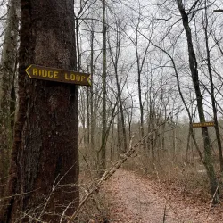 Scantic River State Park - Enfield