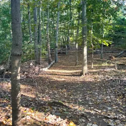 Aspetuck Land Trust Trails - Essex