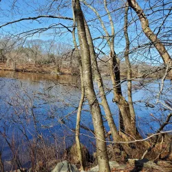 Osage Trails Preserve - Essex