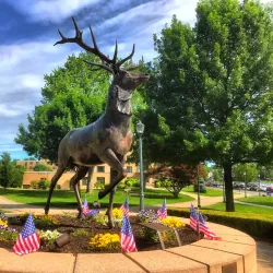 Fairfield University Campus - Fairfield