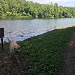 Lake Mohegan Park - Fairfield
