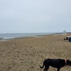 Penfield Beach - Fairfield