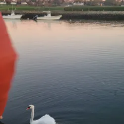 Southport Historic District - Fairfield