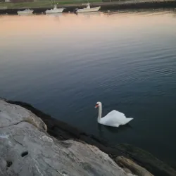 Southport Historic District - Fairfield