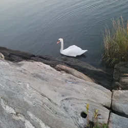 Southport Historic District - Fairfield