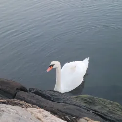 Southport Historic District - Fairfield