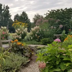 Farmington Library - Farmington