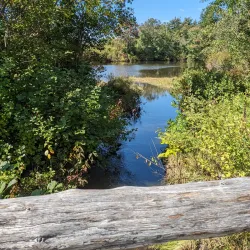 Hill-Stead Museum - Farmington